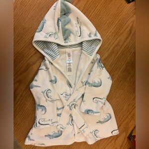 Kids Dinosaur Print Hooded Pajama Robe